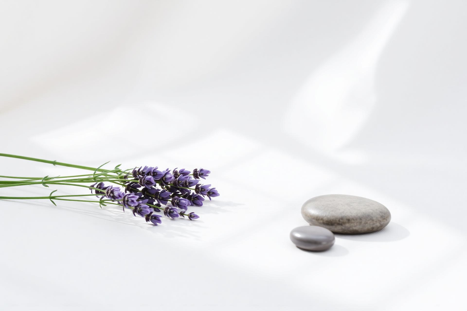 Lavender detail